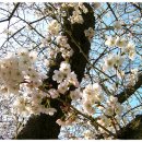 효자공원 이미지