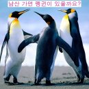 남산식당 - 달성군 | 남산식당