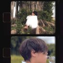 Love Tree(러브트리) 이미지