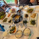 보약밥상 | 청풍호 근처, 제철나물 한상 '밥상위의 보약한첩' 다녀온 솔직 후기