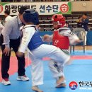 영웅태권도체육관 이미지
