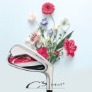 154-2-000240 | [골프] 골린이의 첫 골프채! 야마하 씨즈 HM+ 풀세트 언박싱 후기 및 정품 등록 방법