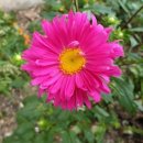 정보화교육 이미지