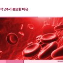 미사늘편한내과의원 | 미사역내과, 철분 보충은 언제 어떻게 모니터링할까?