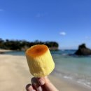 베스트마트 | 『내돈내산』 대마도 벨류마트에서 산 일본간식 13종 별점후기, 베스트5 추천