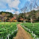 불갑사관광지 안내소 이미지