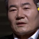 진성 환경 네이버블로그