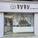 몽실 애견미용 이미지