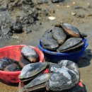 유포어촌체험휴양마을 이미지