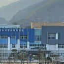 부림초등학교봉수분교장 이미지