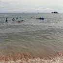 포유콘도 이미지