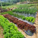 미소펜션 이미지