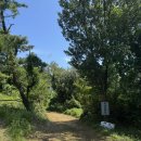 새동안길 | 통영 욕지도 가볼만한곳 새에덴동산 산책길, 힐링 가득한 걷기 여행 추천