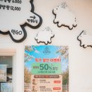 샘목장 | 홍천 가볼만한 곳 아이들과 함께 다녀온 하양목장 가족여행 필수코스