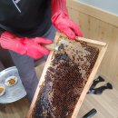 레인보우펜션 - 동해시 일출로 243-7 | 레인보우펜션