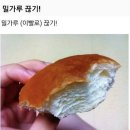 베러주짓수 | 다 긁어왔는데 6월 이라구요?