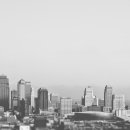 라라공인중개사사무소 이미지