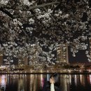 좋은날멸치국수 이미지