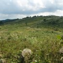 승희목장 이미지