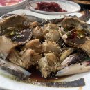 갈매기식당 이미지