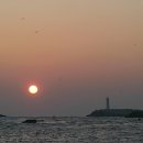 동해일출 이미지