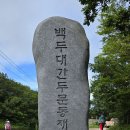 함백산에서(강원 정선군 고한읍)20240728 이미지