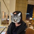 디바스 | 아내 출산선물 불가리 디바스드림 목걸이 후기 영롱하다 영롱해