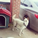 지누동물병원 이미지