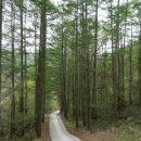 산골쉼터민박 이미지