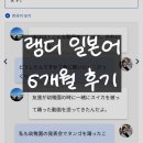 한국어로 읽고 싶어 | 랭디 전화 일본어 내돈내산 6개월 후기, 선생님 추천 JLPT 준비