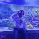 쉼표 더하기 이미지