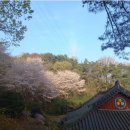 회성동124 이미지