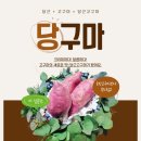 별밤농장 이미지