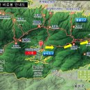 구룡약품 이미지