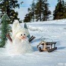 아리랑한의원 이미지