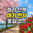 개화아이래쉬 청라지점 | 청라호수공원 제대로 즐기는 법: 벚꽃부터 장미원까지 인천 서구 명소 코스 총정리