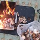 수레의산 국민여가캠핑장 이미지