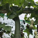 산과 벗 캠핑장 이미지