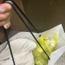 우리동네세탁소(런닝맨운동화빨래방) 이미지