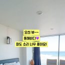 씨스파 풀빌라 이미지