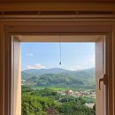 군파크호텔 | [청도 애견동반펜션] 군파크 호텔, 216호 숙소 내돈내산 후기