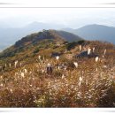 오서산꿈의궁전 이미지