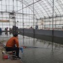 신당낚시터 이미지