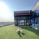 몽글몽글애견유치원 | 새솔동 몽글몽글 애견유치원&amp;호텔&amp;미용 선택 전 볼 핵심 포인트 정리