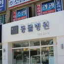 뉴욕동물병원 이미지