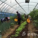 하늘바람팜스토랑 국제뉴스