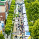 차 없는 거리 문화행사 이미지