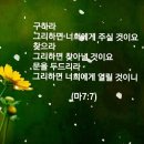 샬롬