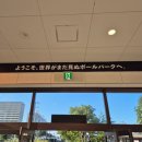 메이저2 호스텔 | 2025 삿포로 야축여행 후기