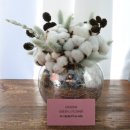 청두곶4길 1-1_ 이미지